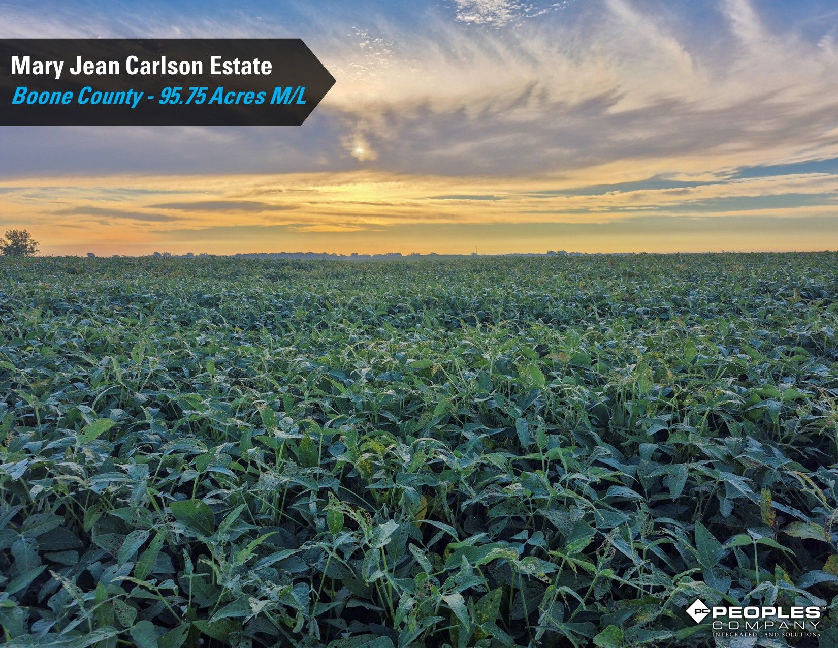 Listing Photo: Boone-County-IA-Land-Auction-95.75-Acres-Ogden-Carlson-Estate (14)